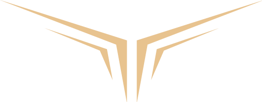 Stealth Raven